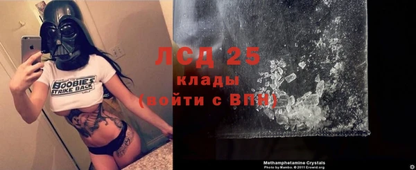 эйфоретик Алзамай