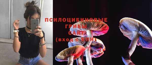 молекула духа Алексеевка