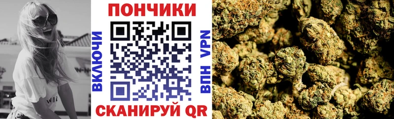 Бошки Шишки SATIVA & INDICA  цены наркотик  Медынь 